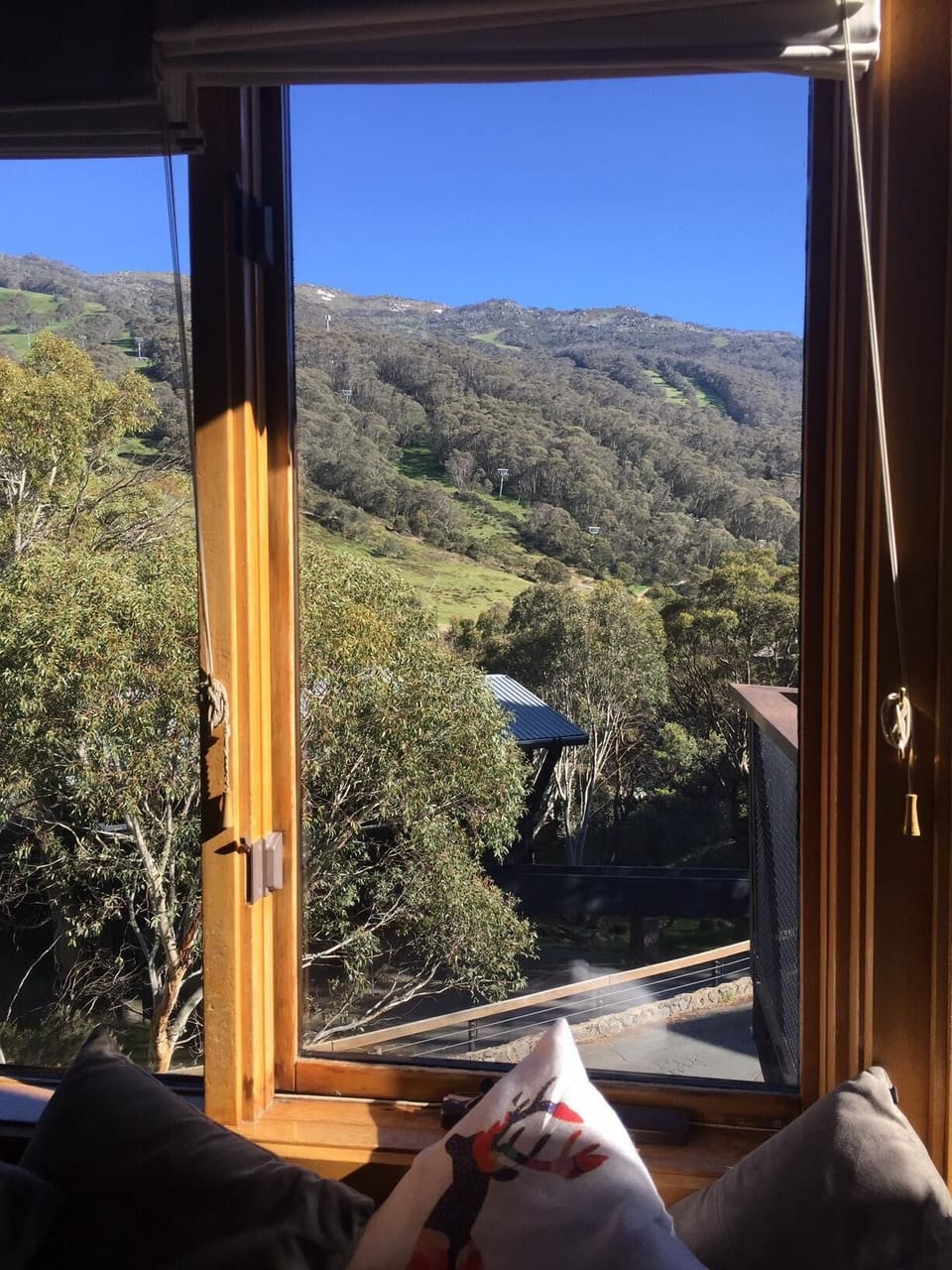 View from lounge