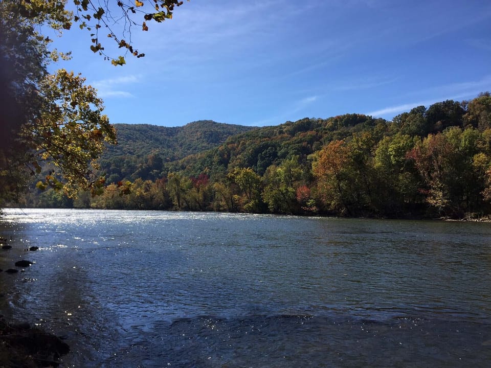 Riverfront at MoonDance River Cabin