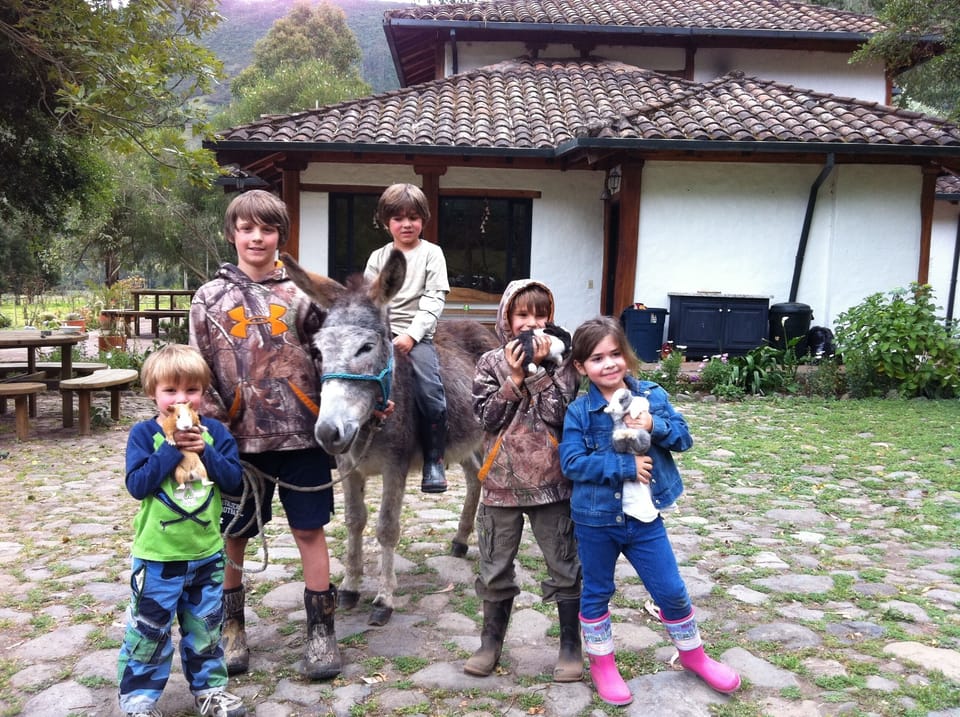 It's fun to see children playing for hours on end with our friendly farm animals
