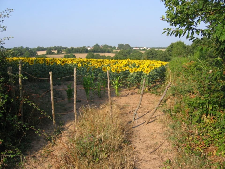 Nearby view across the fields