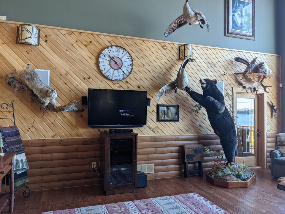 Living Rm from the couch