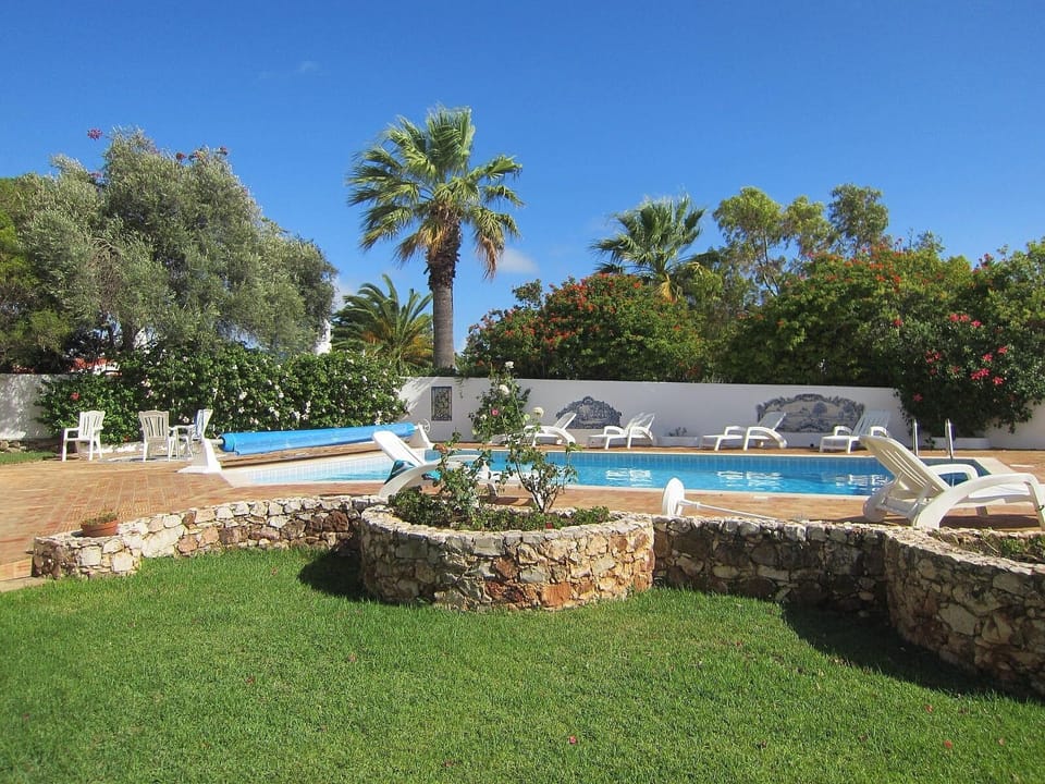 a garden view