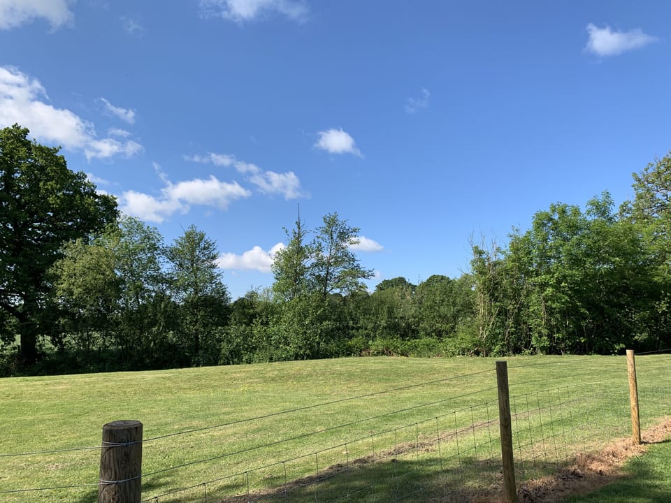Dog Exercise Areas