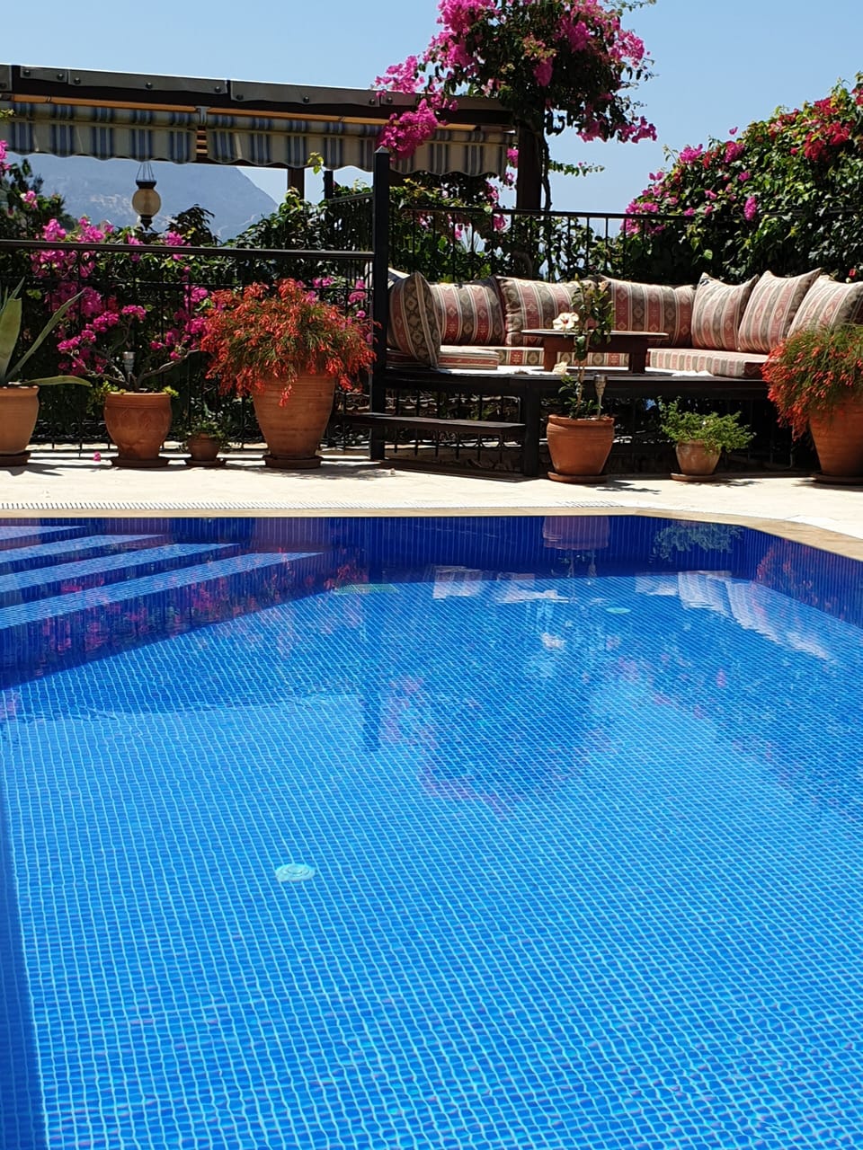 Swimming pool and ottoman seating area viewed from shady seating area