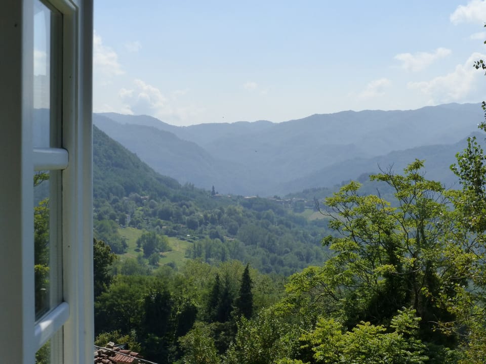 view from bedroom window