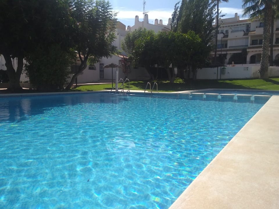 Adult pool  