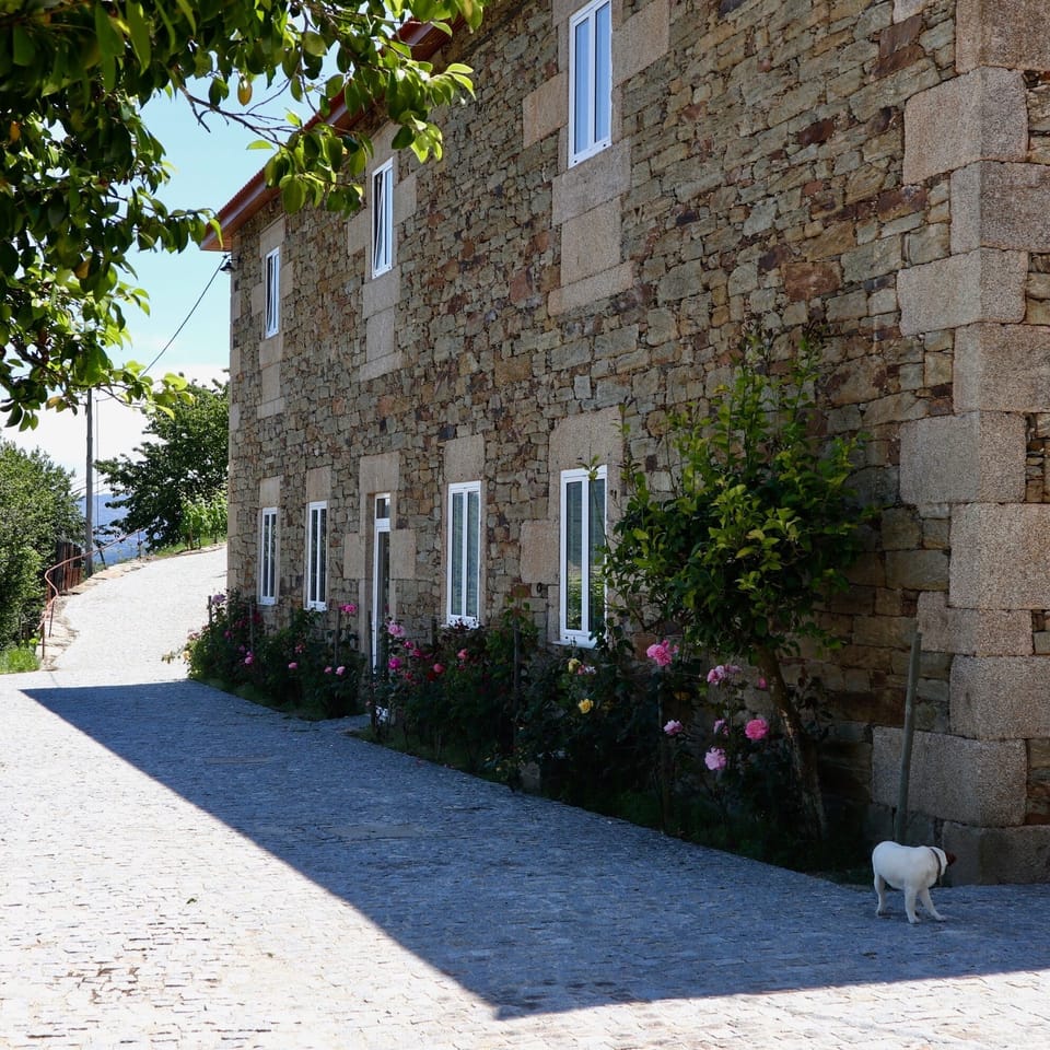 View of the gym/table tennis room