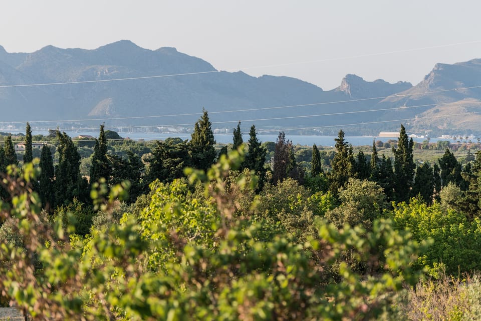 View to the Pollensa Bay.