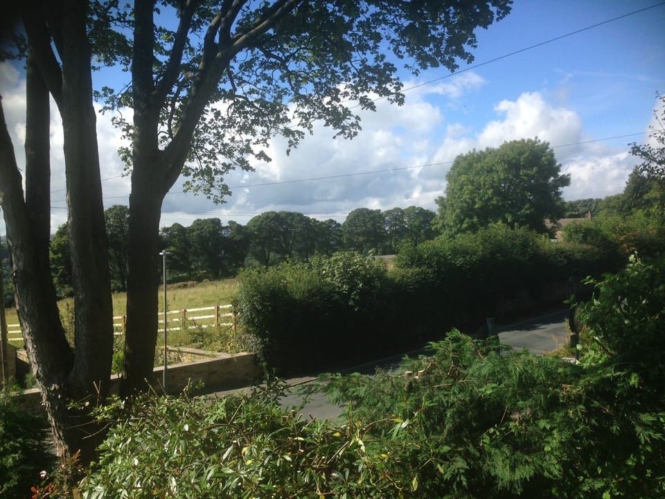 View from the cottage