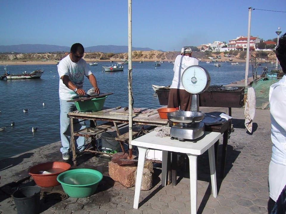 preparation for lunch or dinner