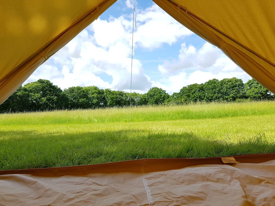 View from your accomodation