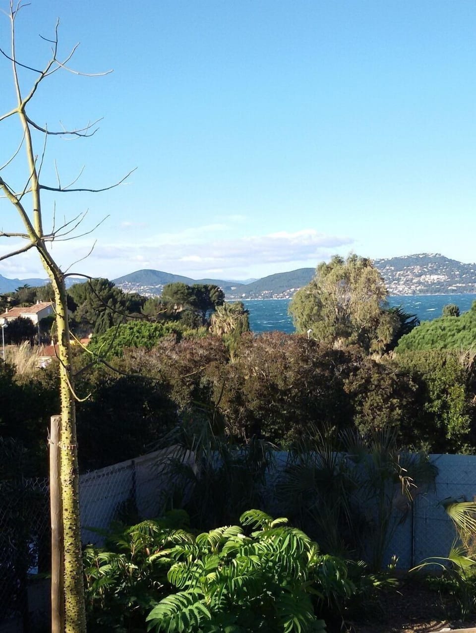 View from property