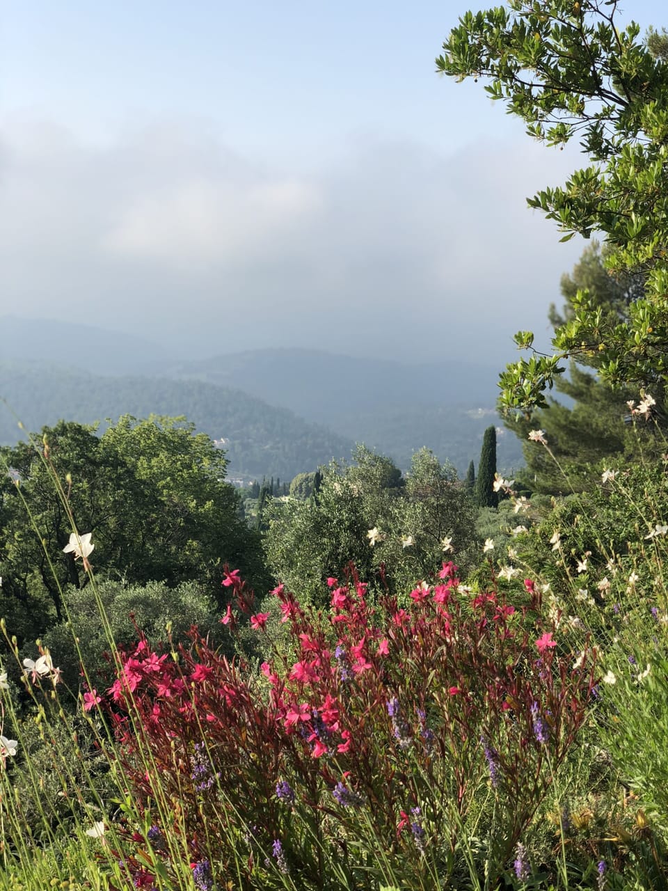View