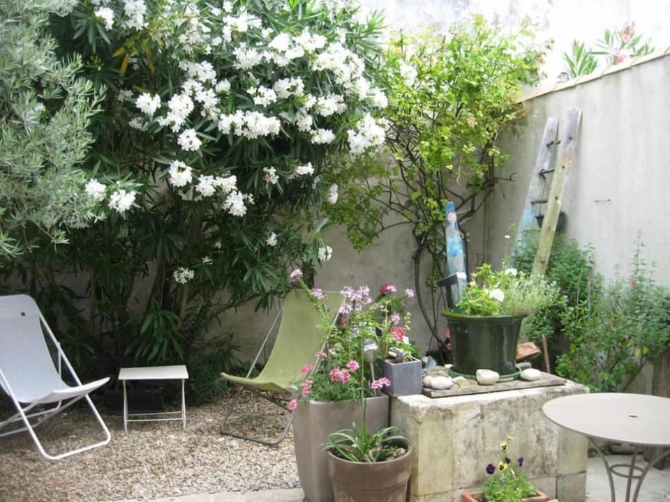 Garden, Park
