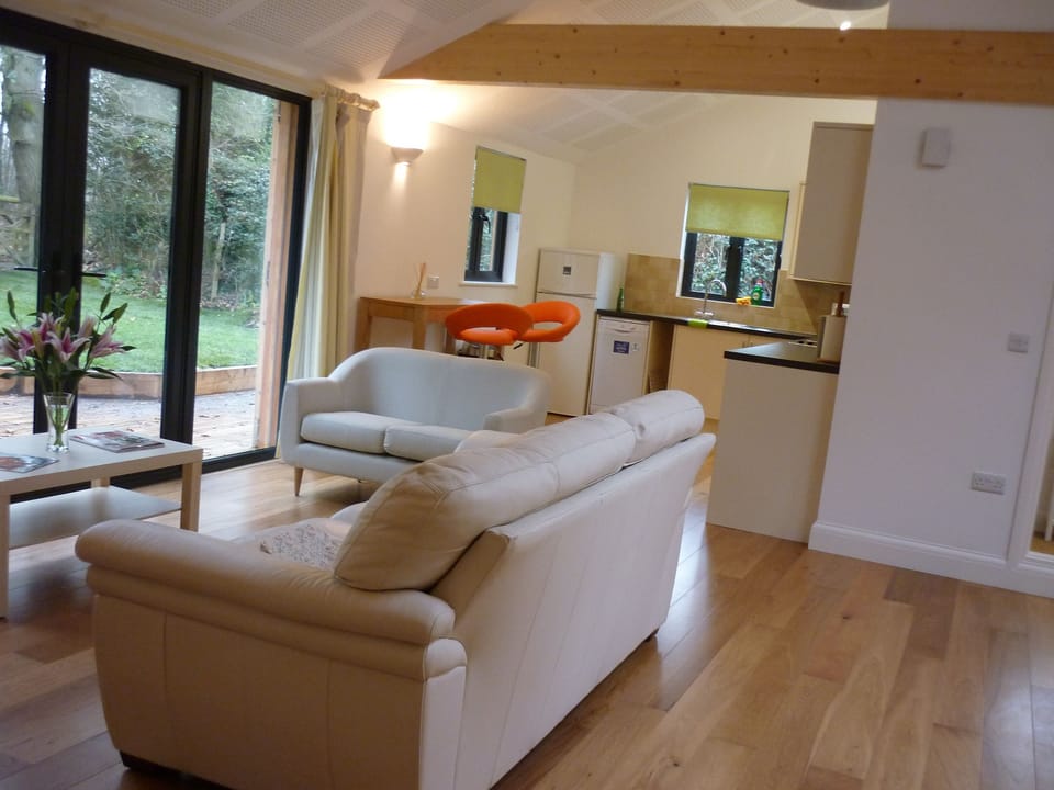 The living area and kitchen