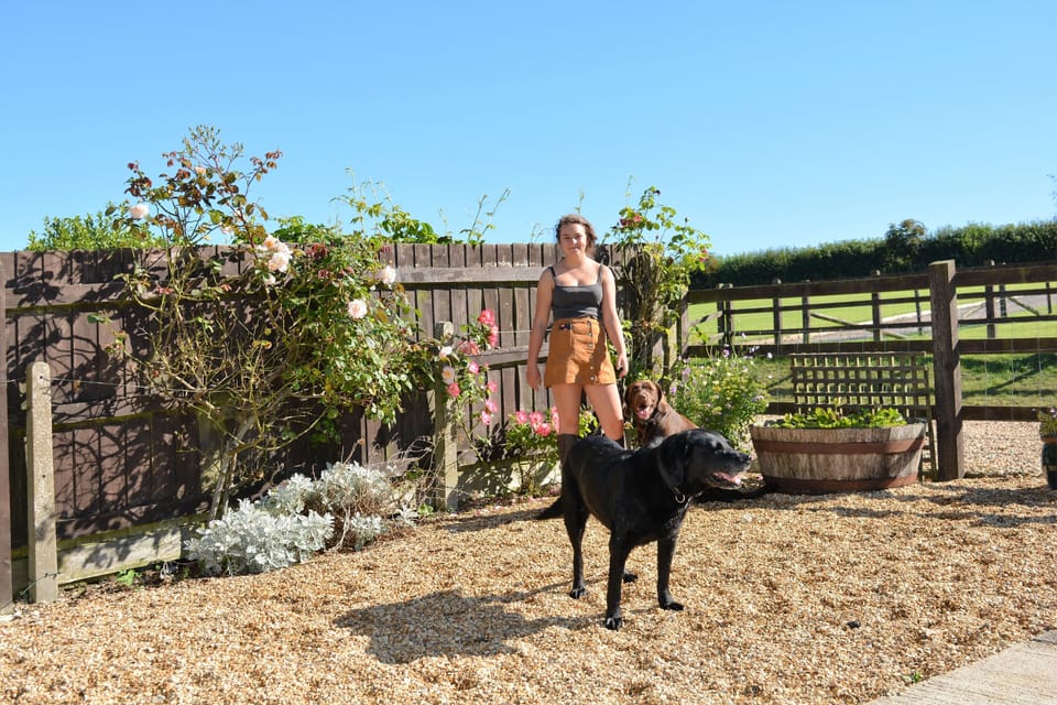 Fully enclosed child and dog friendly garden