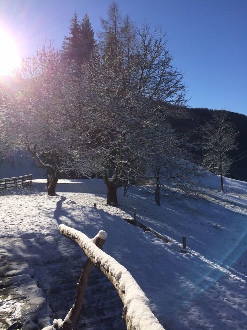 Living the tradition in the heart of the Dolomites UNESCO, hiking & ski Apartment in Veneto