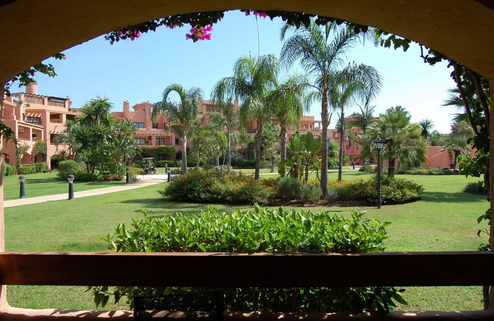 View from the patio