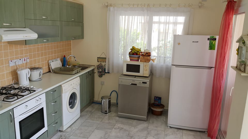 Large modern Kitchen
