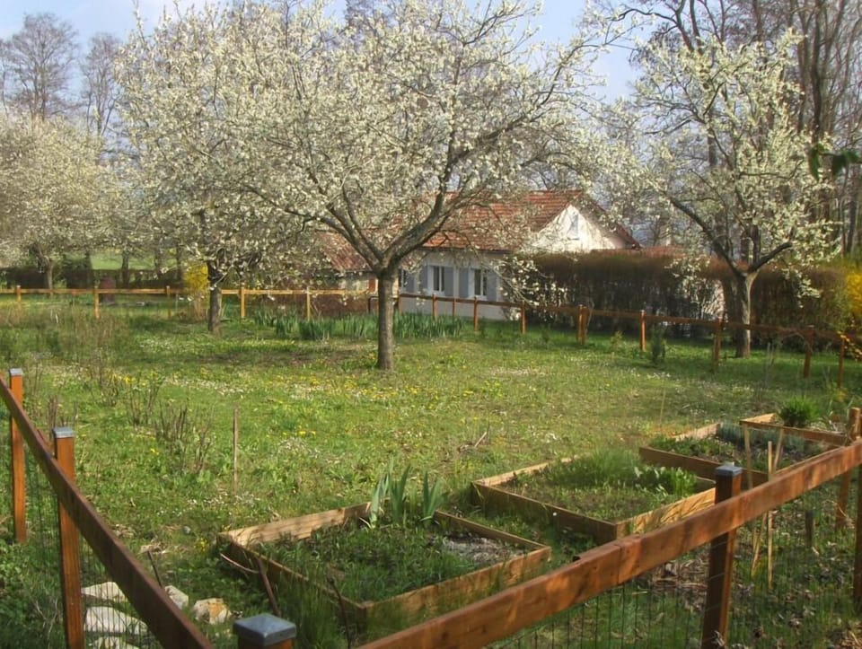 Garden, Park