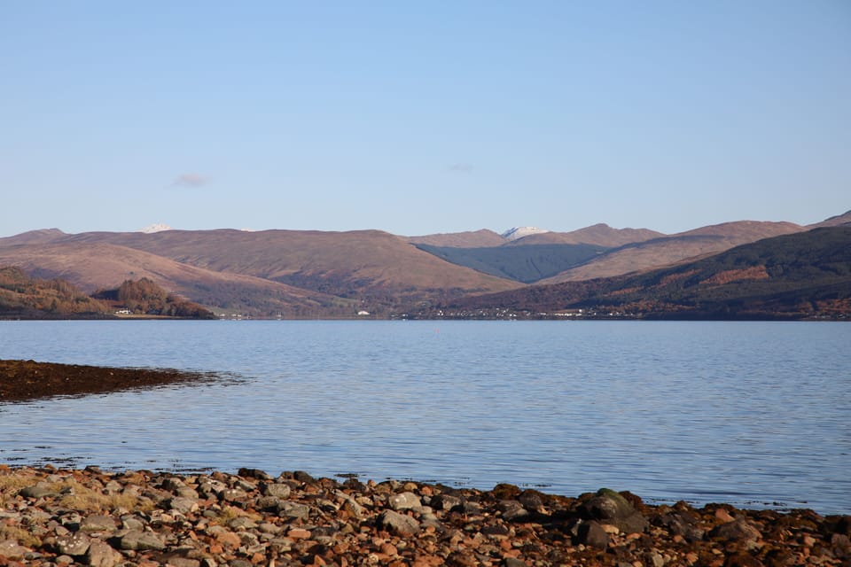 Loch Fyne from shore below cottage (50 metres).