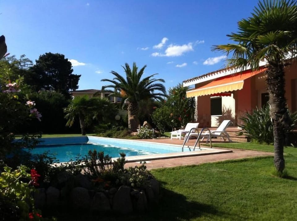 pool and garden