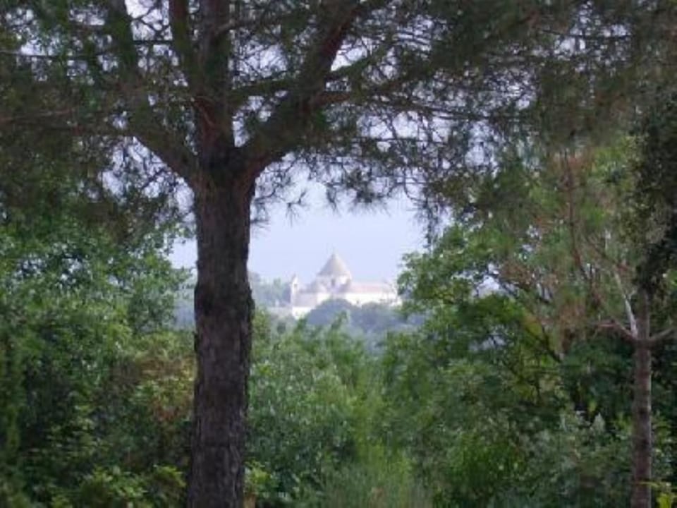 view from the garden (the church of the burg)