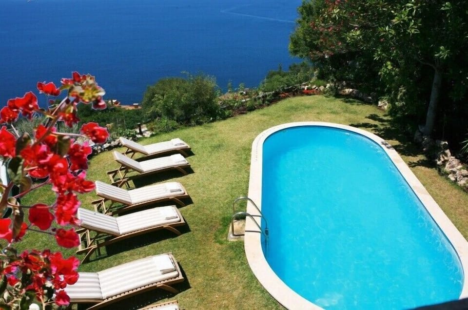 garden and swimming pool