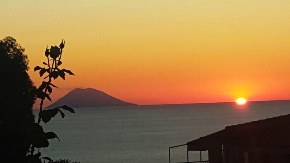 View from the house