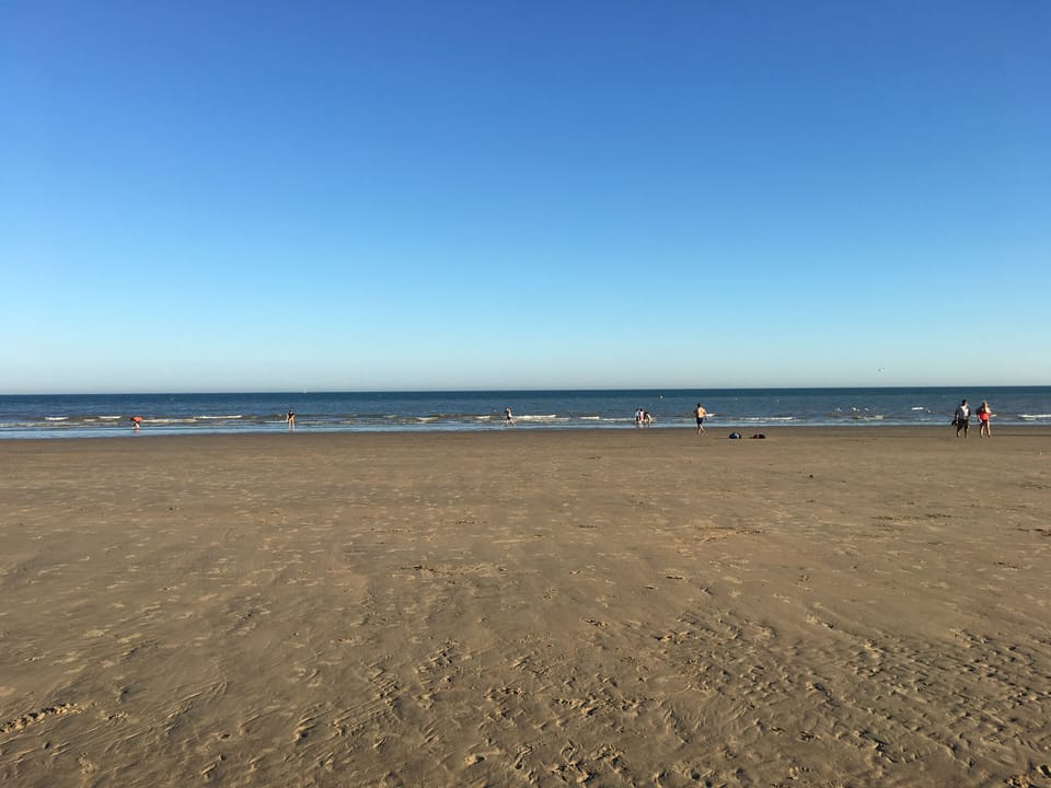 Picture taken by the owner on the beach.