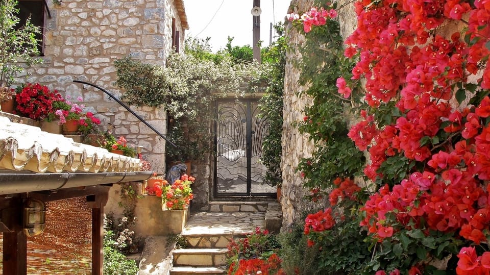 Many people call Casa Sophia "the Flower House"