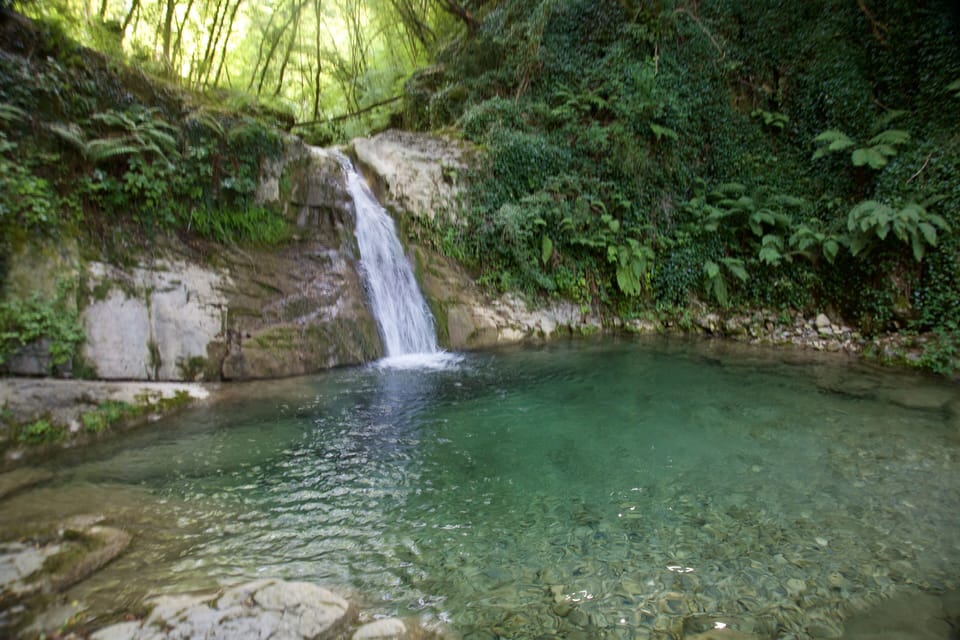 Hidden falls just around the corner from the house