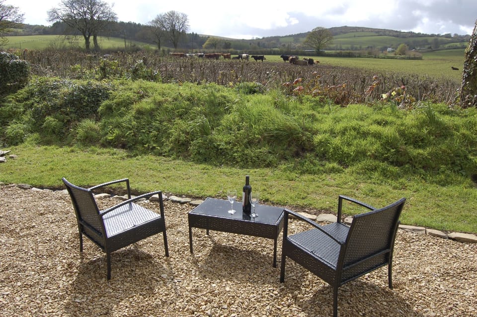 Another terrace, with view to Twelve Mens Moor