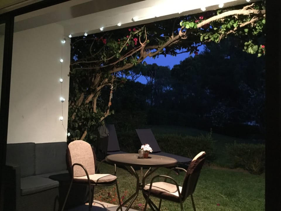 Solar roses to help you relax outside well after sundown