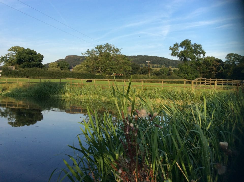Surrounding land