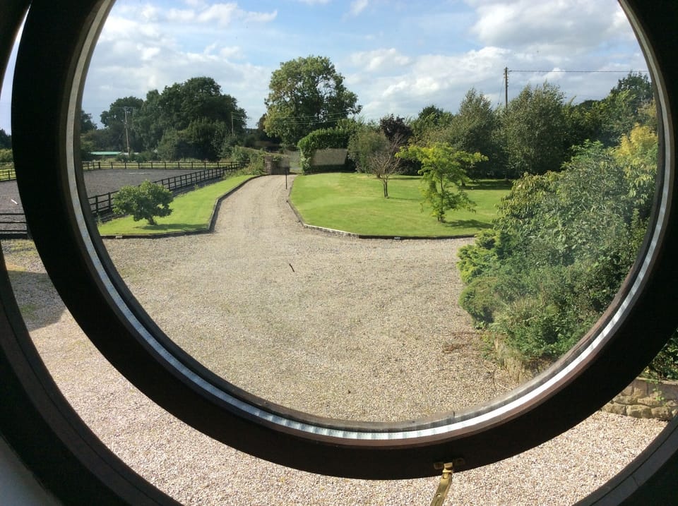 View from the lounge onto the garden