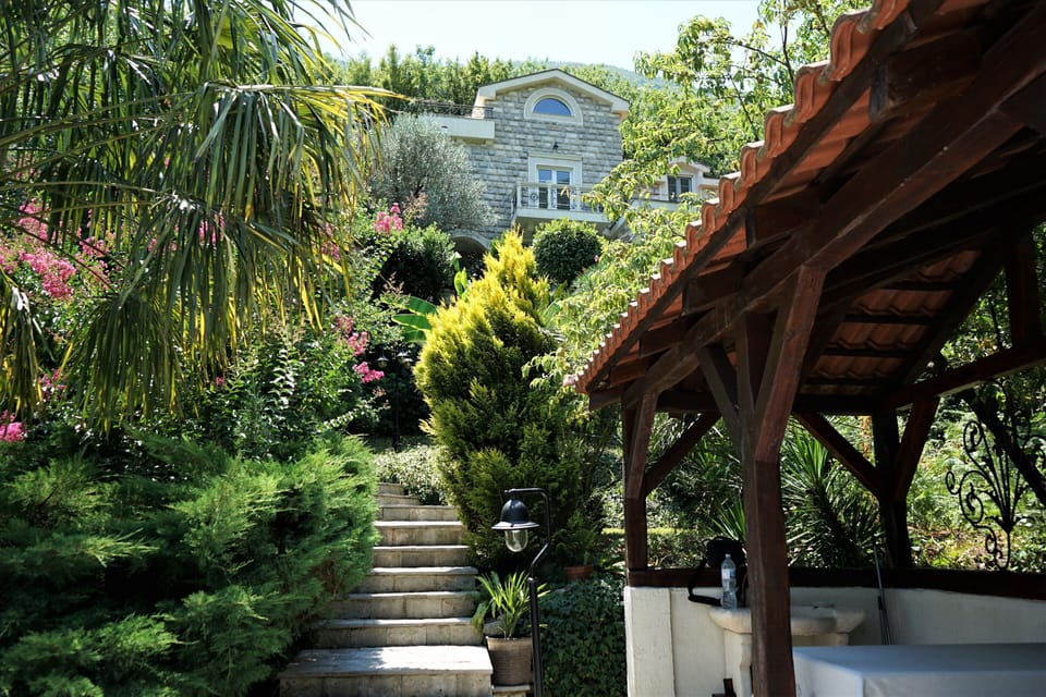 Pool area view of the house