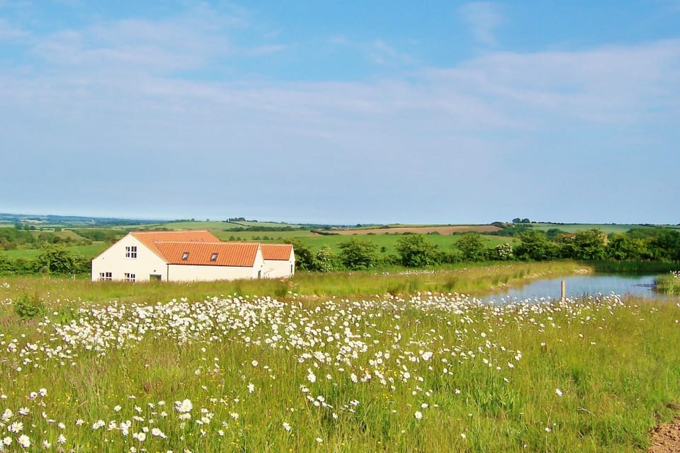 Looking across the wildflower meadow and pond to Greetham Retreat cottages