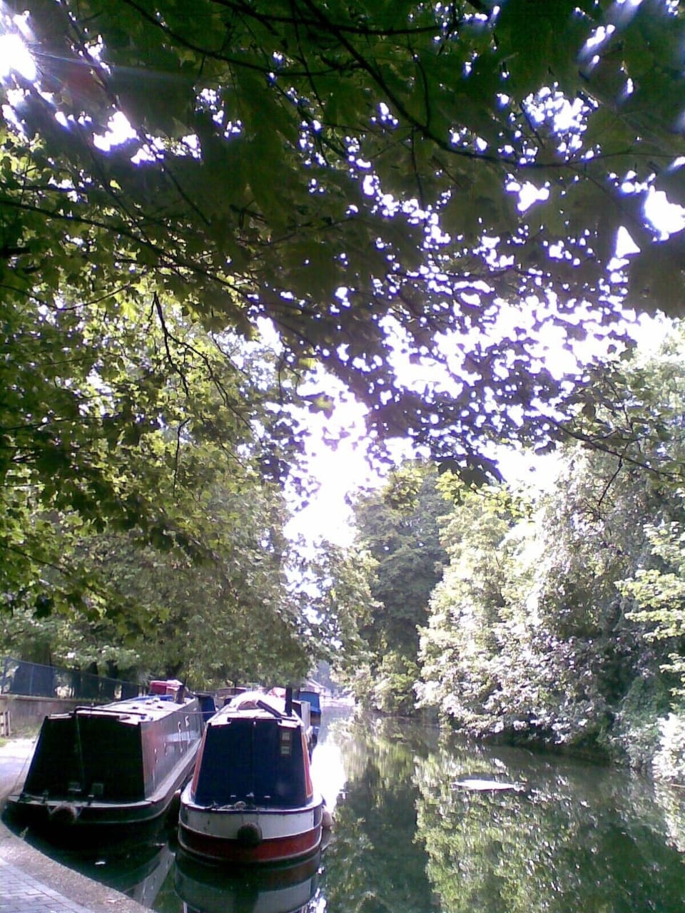Summer walks along the canal