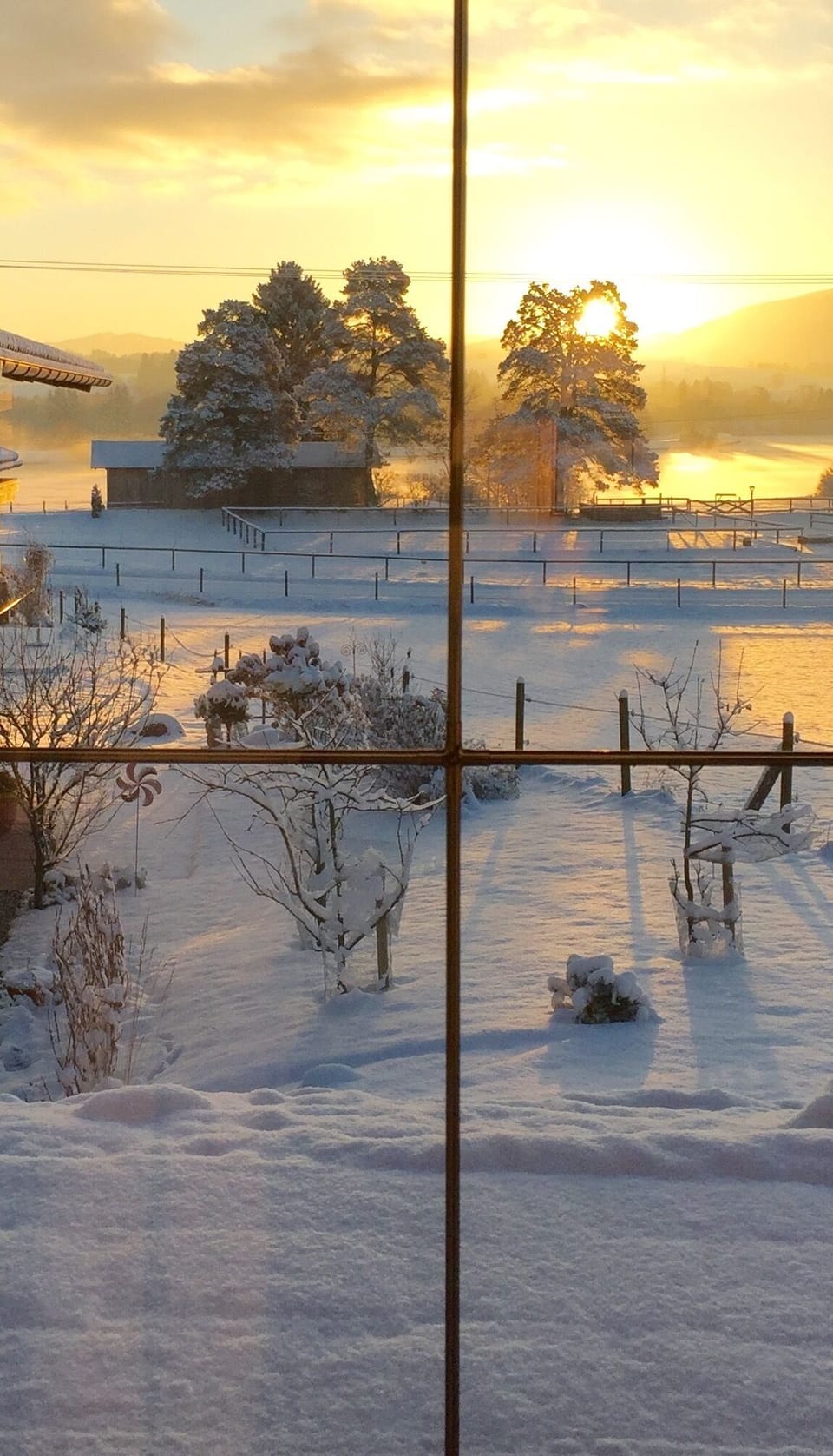 View from property