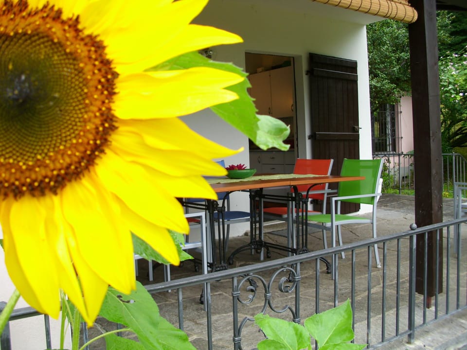 Dining area in summer: veranda