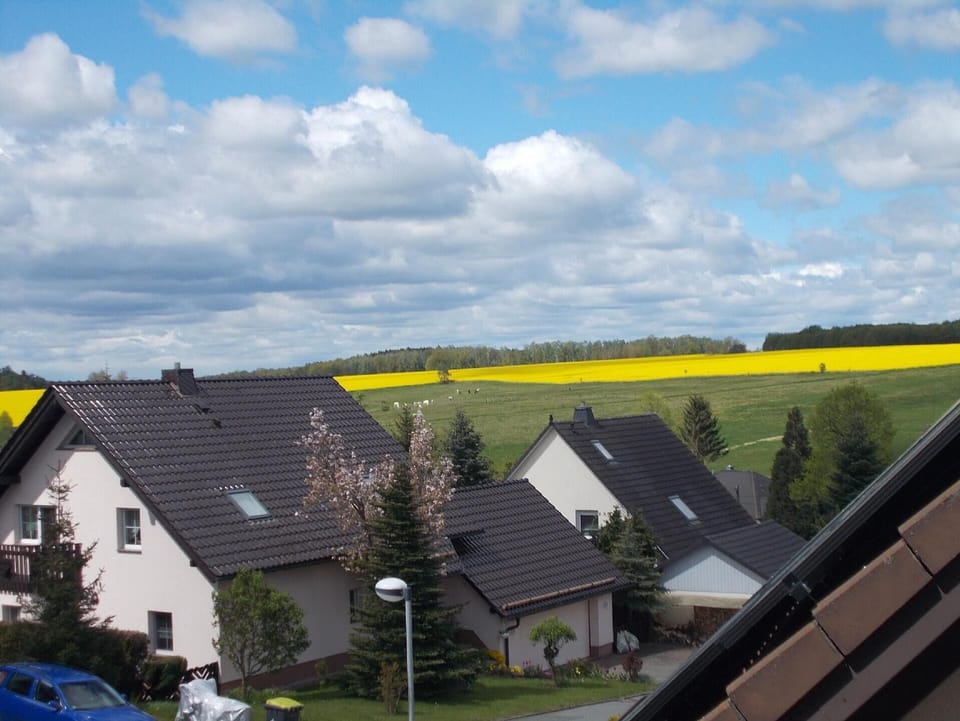 Flat in Hauptmannsgrün Apartment in Thuringia, Germany