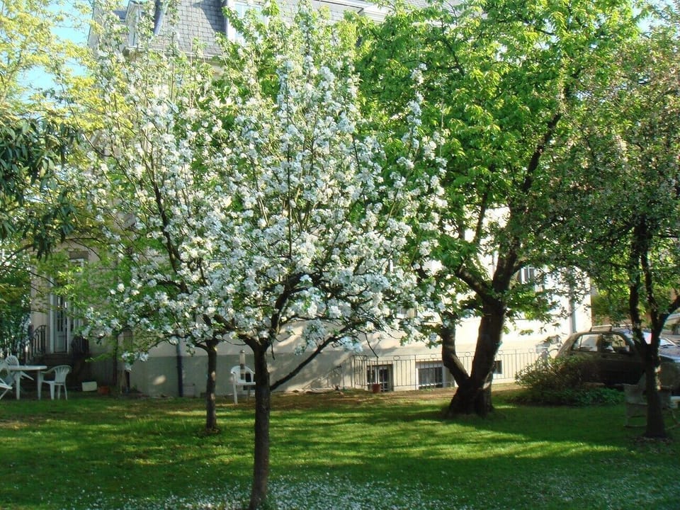 Garden side