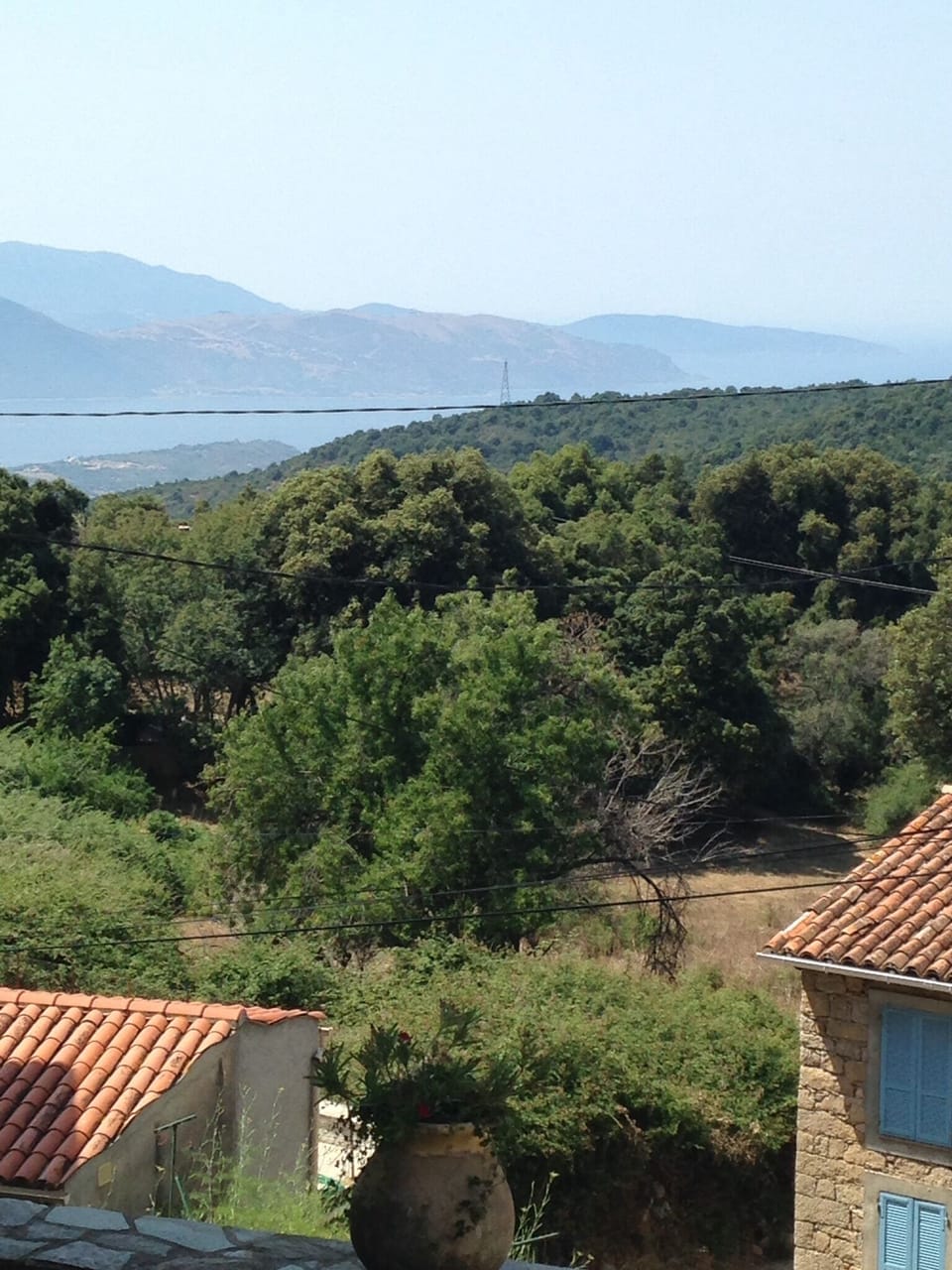 View from property