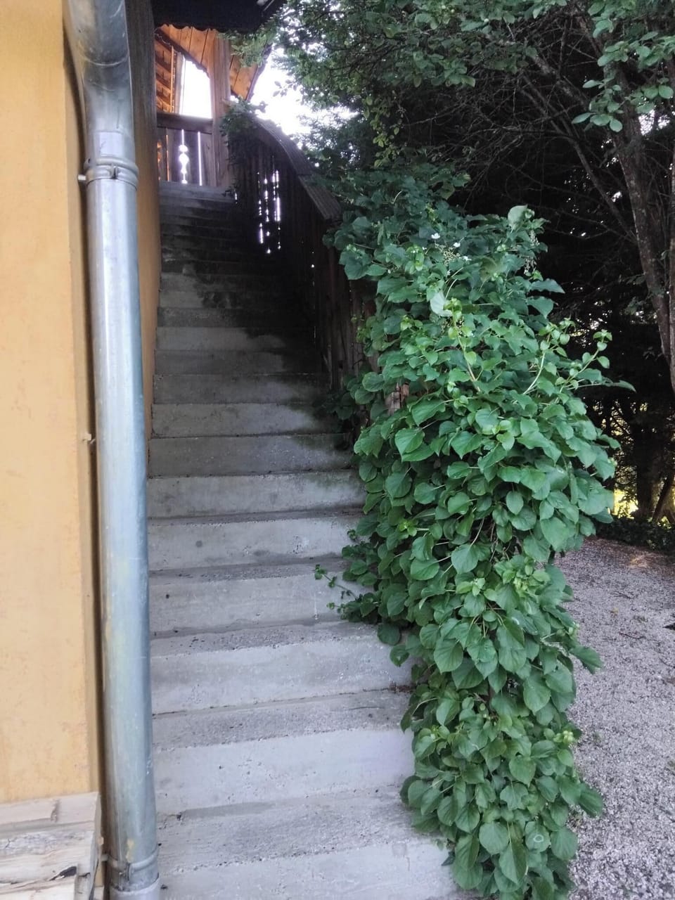 Exterior detail