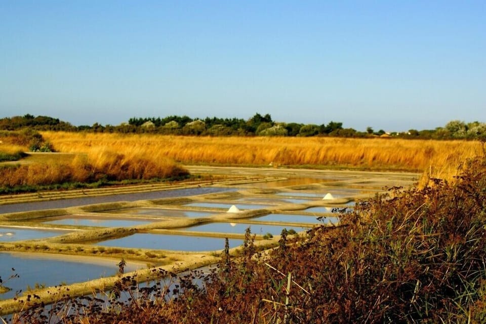 Saltmarsh, 25 minutes