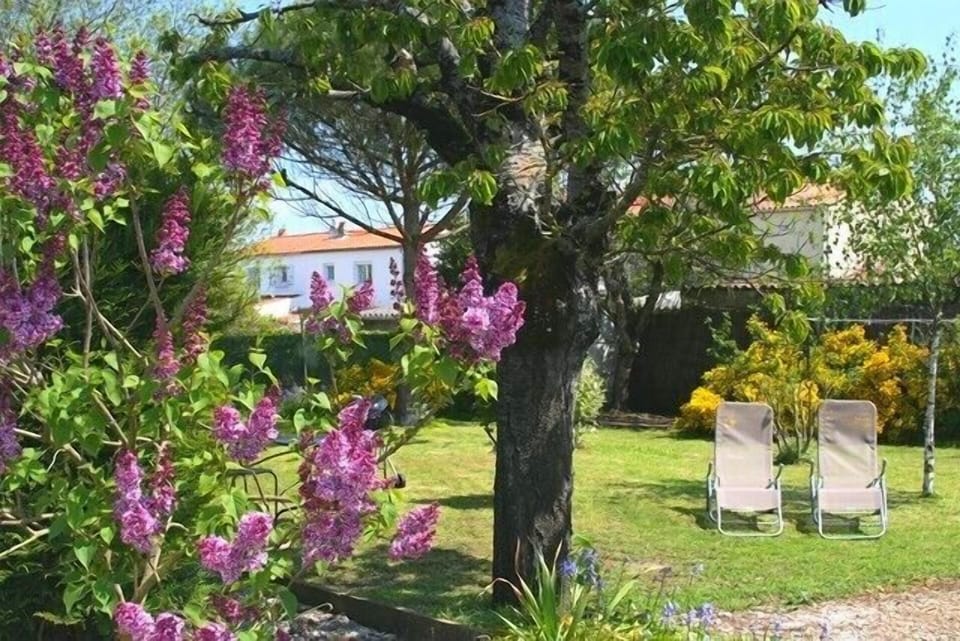 The garden