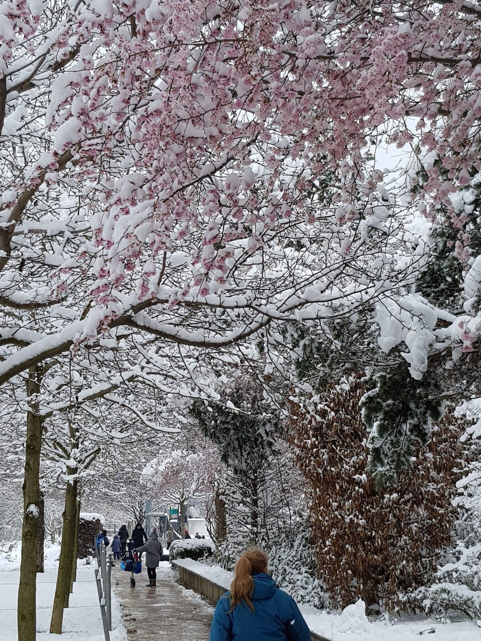 Snow and ski sports