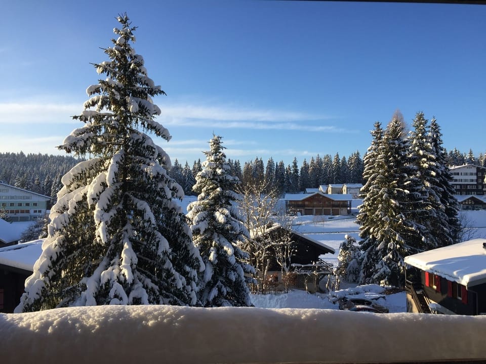 View from property