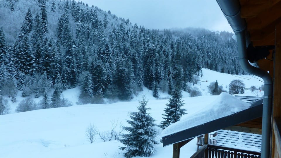 View from property
